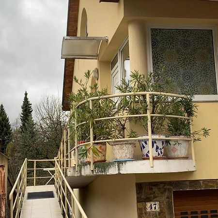 Apartman U Doktora Banska Bystrica Luaran gambar
