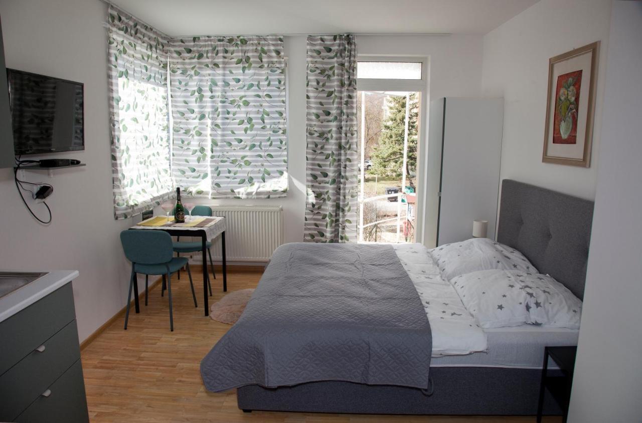 Apartman U Doktora Banska Bystrica Luaran gambar